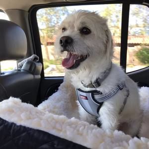 Meet your Posher, Judy